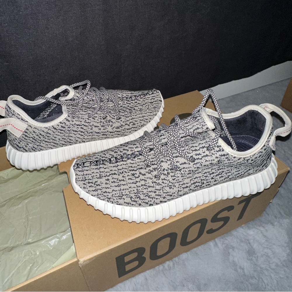 Yeezy Boost 350 Turtle Dove